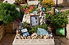 Grave of Michael Levin (American Israeli) on Mount Herzl