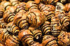Pastries at Hadassah Hospital Shopping Mall