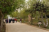 Avenue of the Righteous