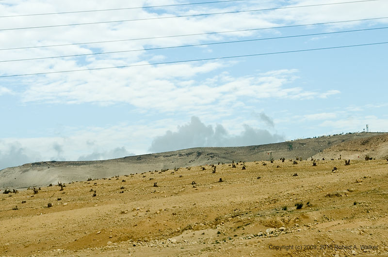 DSC_1352.jpg