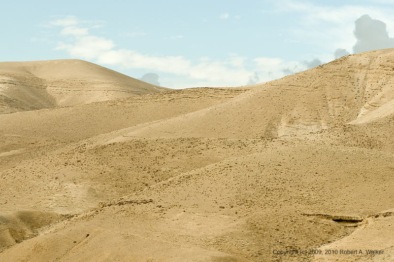 DSC_1357.jpg