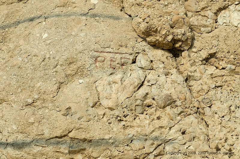 DSC_1424.jpg