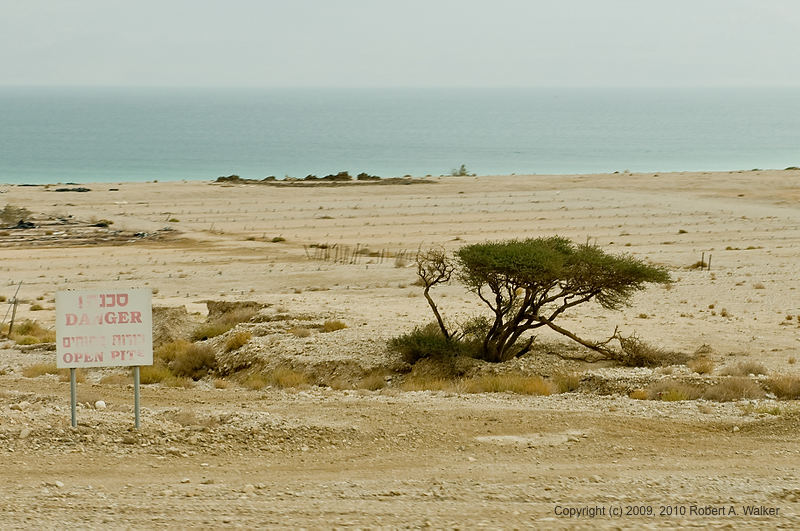 DSC_1446.jpg