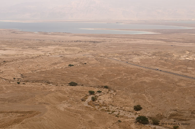 DSC_1471.jpg