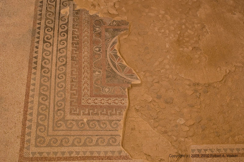 DSC_1532.jpg