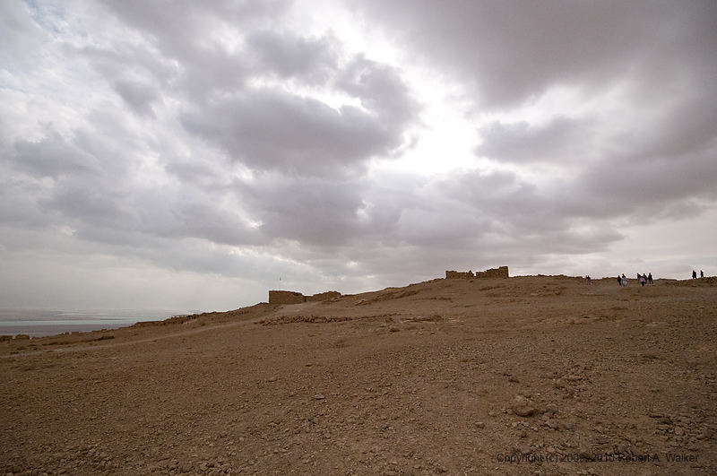 DSC_1542.jpg