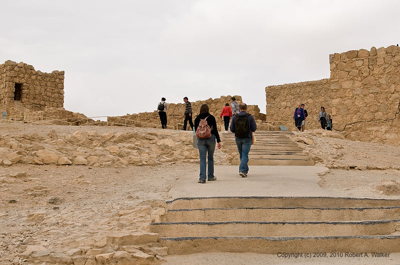 DSC_1559.jpg