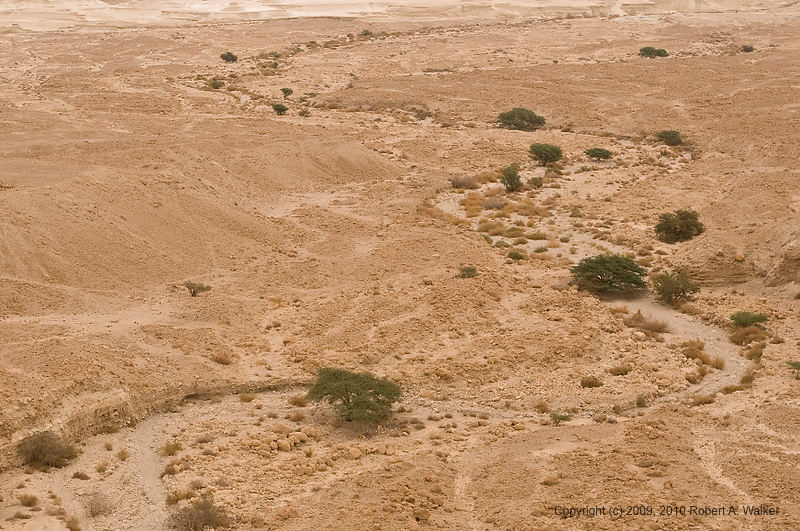 DSC_1698.jpg