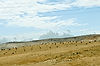 Route 1 to Dead Sea