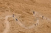 Hikers on Snake Path