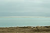 Dead Sea