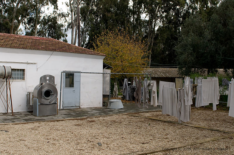 DSC_1908.jpg