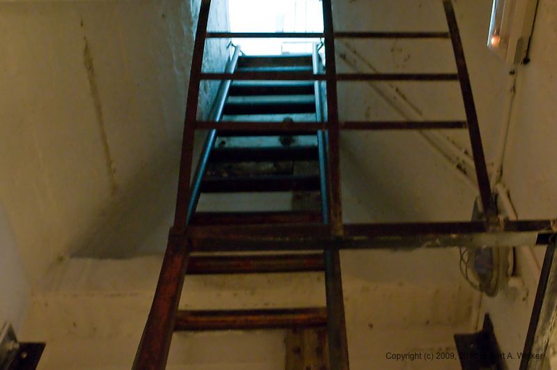 DSC_1937.jpg