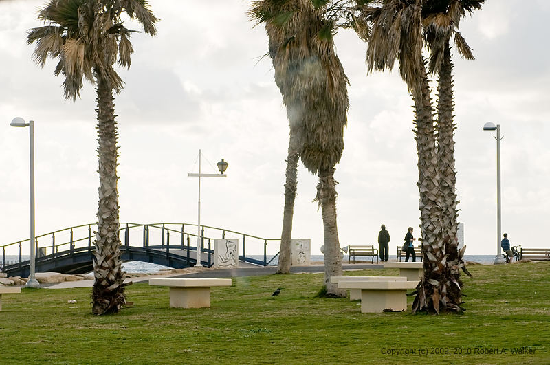 DSC_2008.jpg