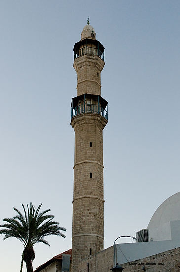 DSC_2089.jpg