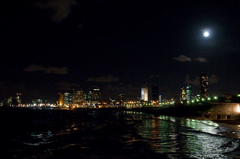 DSC_2171.jpg