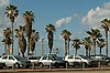Jaffa