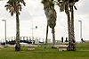 Jaffa