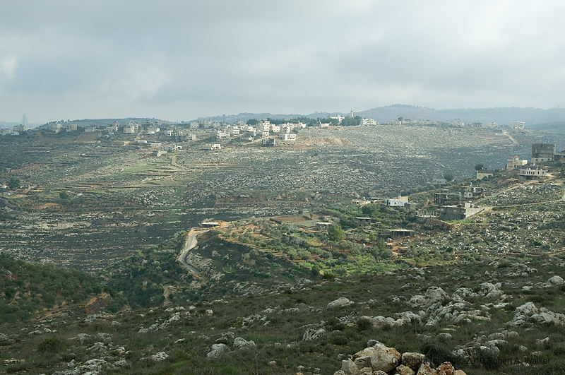 DSC_2198.jpg