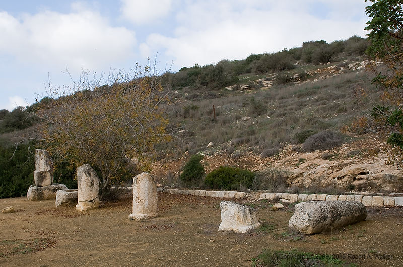 DSC_2204.jpg