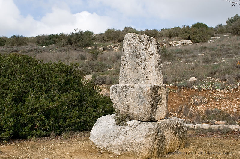 DSC_2206.jpg
