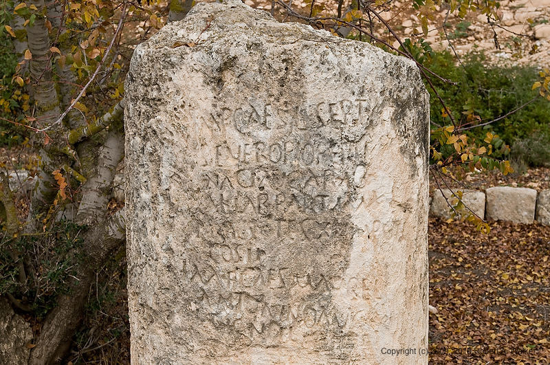 DSC_2212.jpg