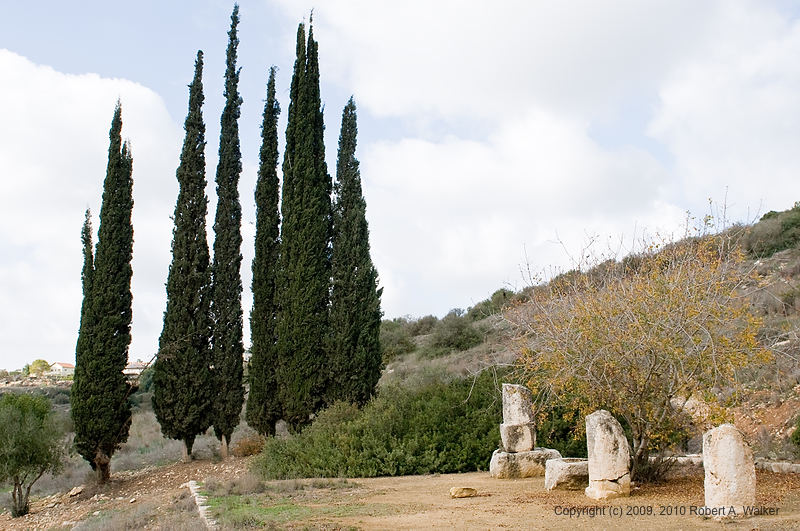 DSC_2226.jpg