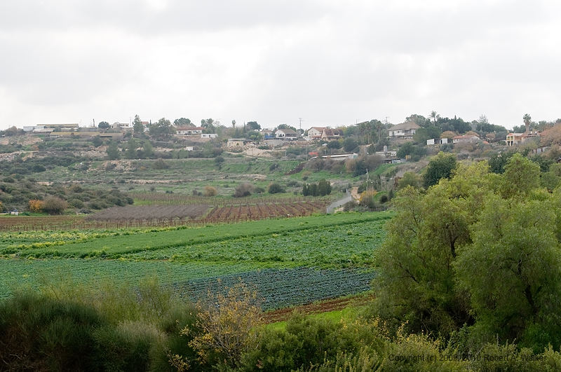 DSC_2228.jpg