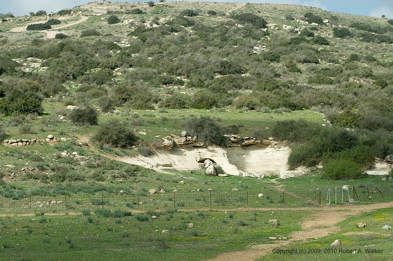 DSC_2233.jpg