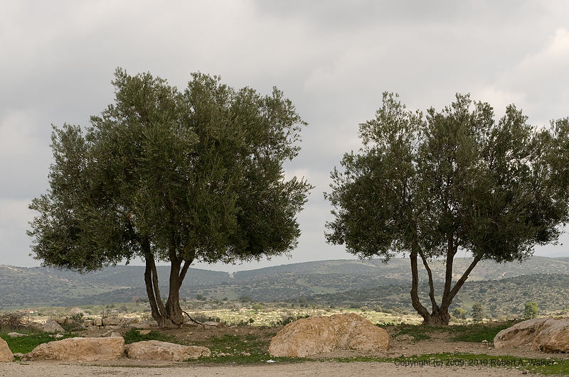 DSC_2254.jpg