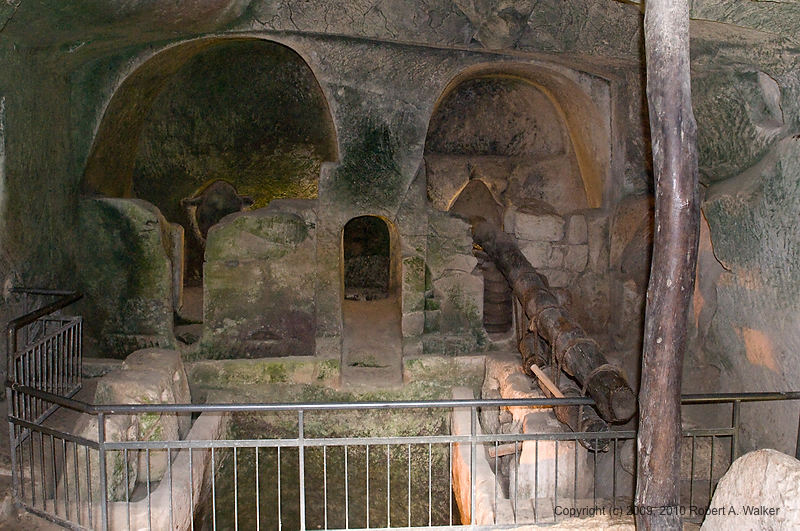 DSC_2485.jpg