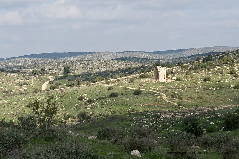 DSC_2486.jpg