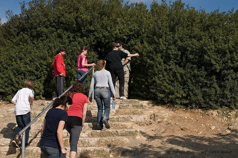 DSC_2491.jpg