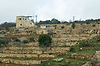 Terrace Agriculture
