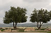 Beit Guvrin National Park