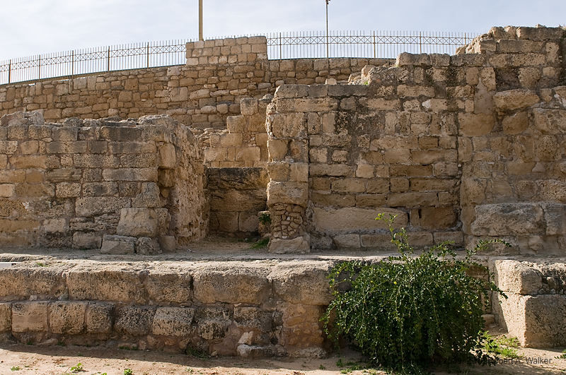 DSC_2633.jpg
