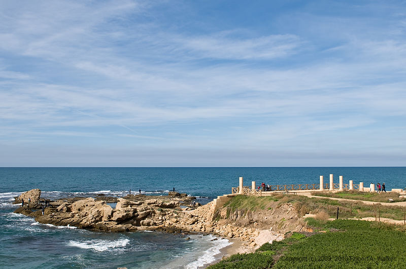 DSC_2653.jpg
