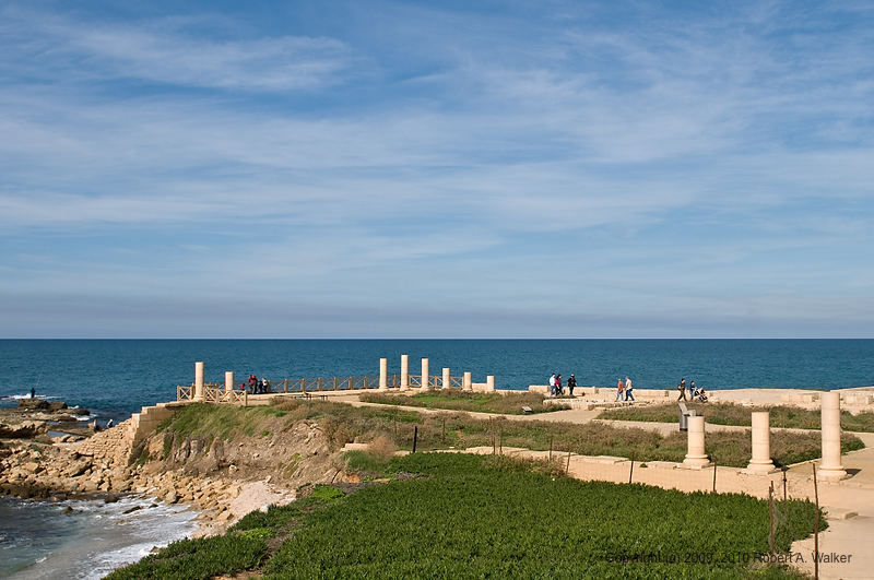 DSC_2654.jpg