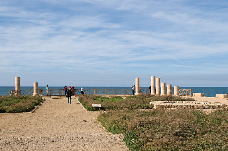 DSC_2658.jpg
