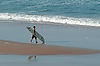 Scenes at Shores Resort & Spa