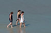 Scenes at Shores Resort & Spa