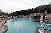 Dolphin & Swan Pool Area