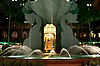 Epcot to Dolphin