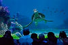 Turtle Talk in The Seas (Epcot)