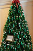 Pickle Tree in Germany Pavillion (World Showcase)