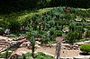 Epcot