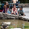 Ducks at Japan Pavillion (World Showcase)