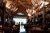 Animal Kingdom Lodge
