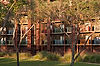 Animal Kingdom Lodge