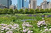 Lurie Garden